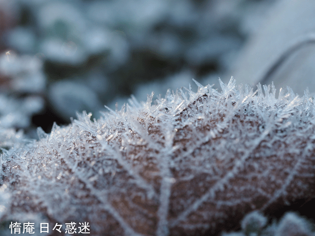 e0346064_19275996.gif