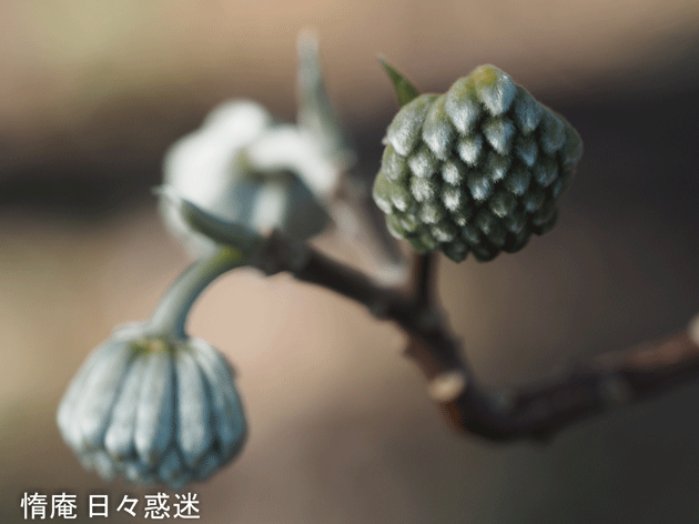 e0346064_19534686.gif