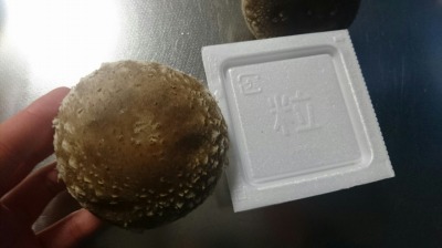 c0248067_11561339.jpg