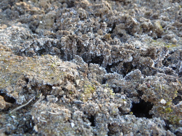 e0278968_20343463.jpg