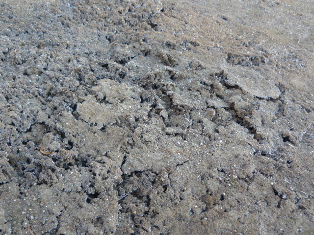 e0278968_20345342.jpg