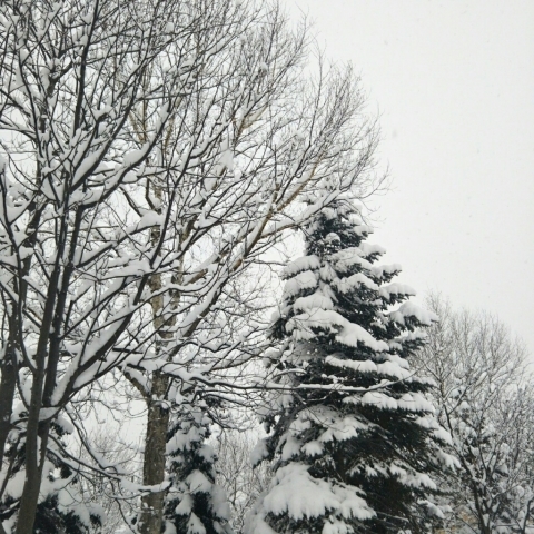 c0311170_21145938.jpg