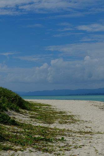 b0314975_12380520.jpg