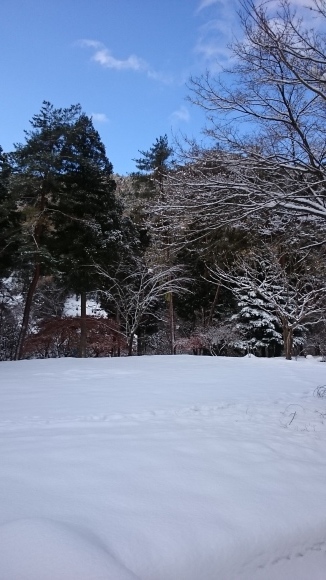 e0024081_08293353.jpg