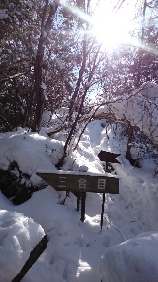 e0024081_08415591.jpg