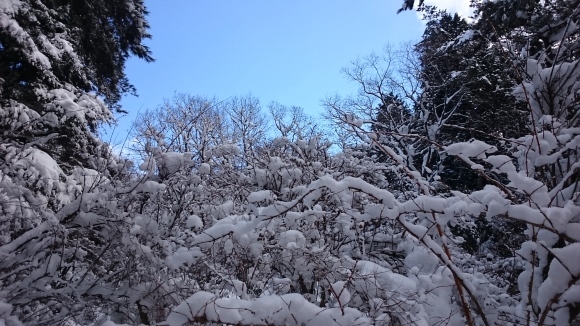 e0024081_08480340.jpg