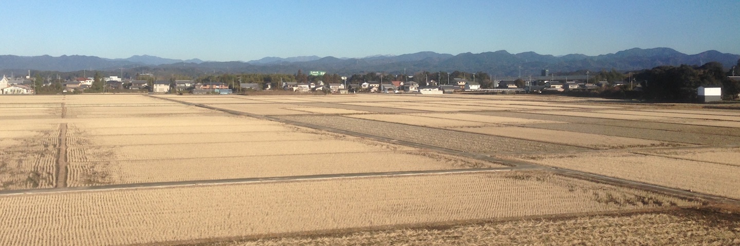 c0170789_19370447.jpg
