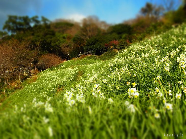 c0152690_22465380.jpg