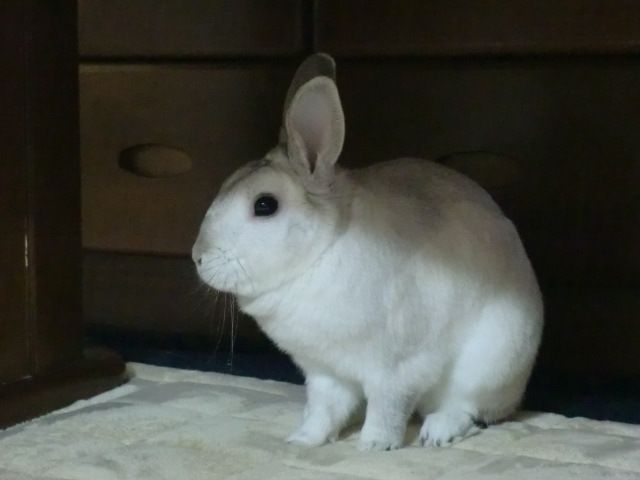 c0336408_23541568.jpg
