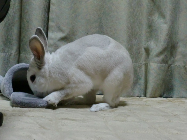 c0336408_23544213.jpg