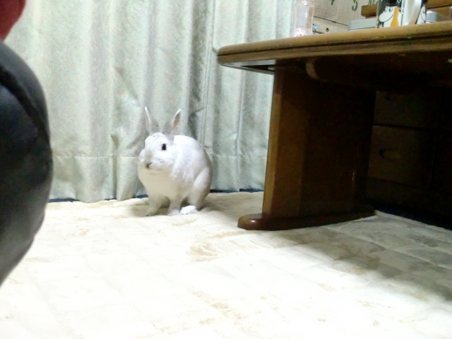 c0336408_23550114.jpg