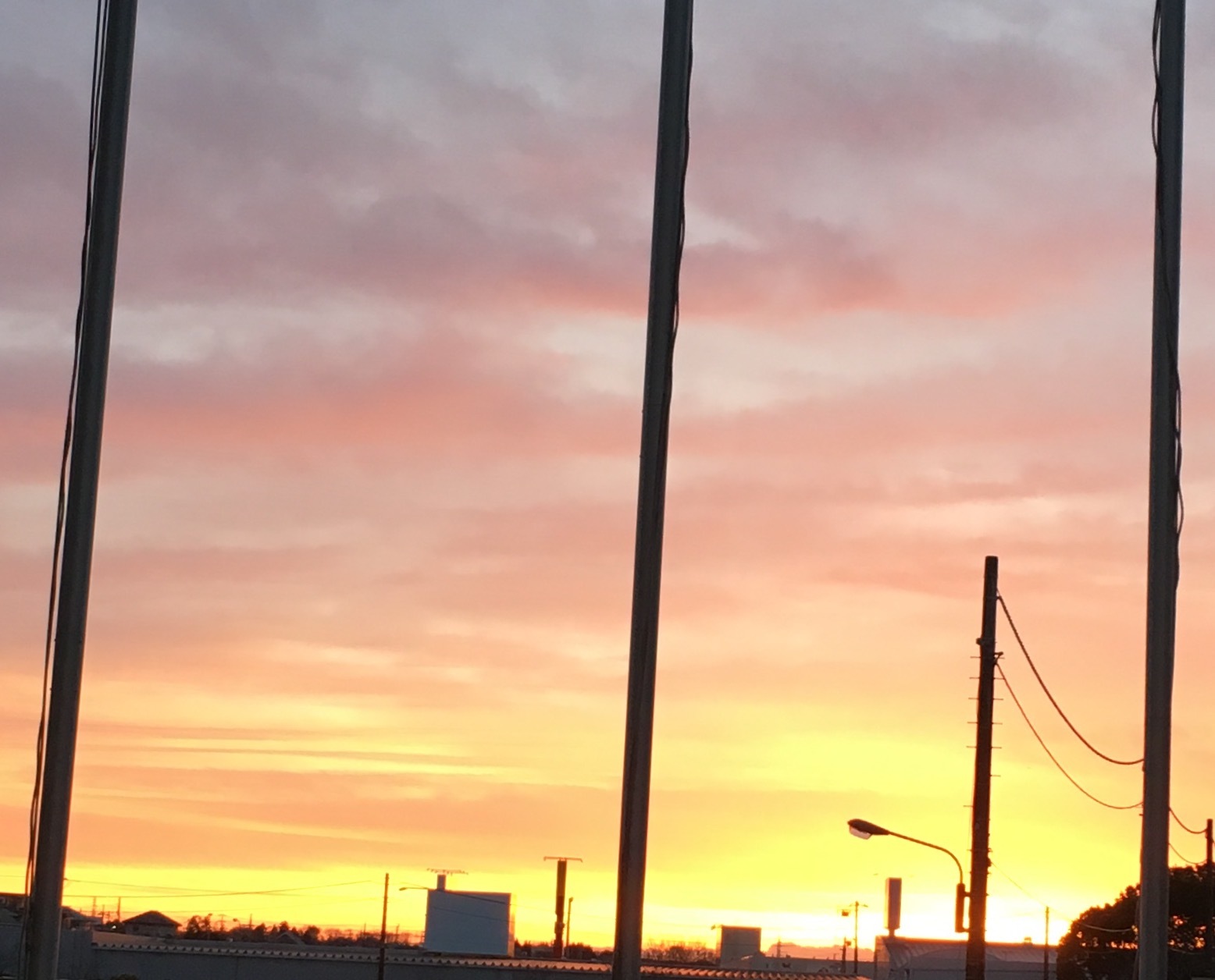 a0060612_20562930.jpeg