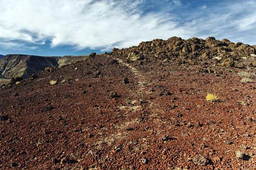 c0148812_534403.jpg