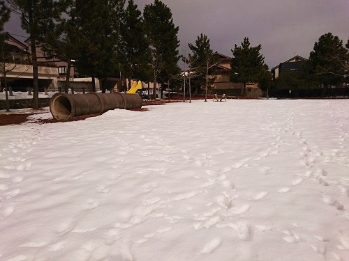 c0084117_1941225.jpg