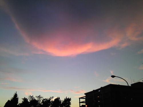 b0285619_18444329.jpg