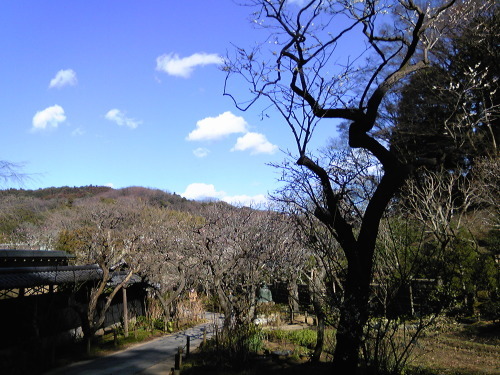 b0285619_18474816.jpg