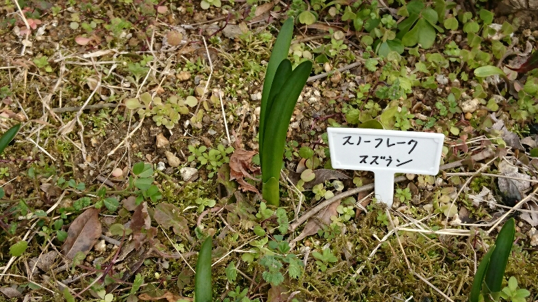 f0228619_19115147.jpg