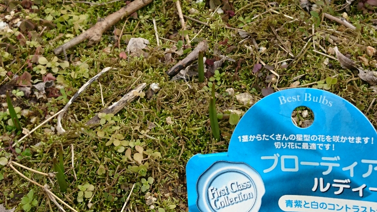 f0228619_1912799.jpg