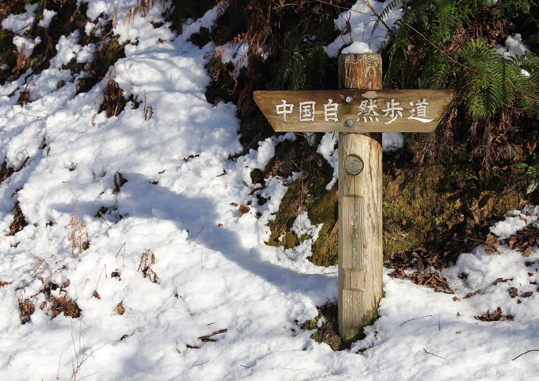 f0310221_1759276.jpg