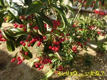 a0105023_13472467.jpg
