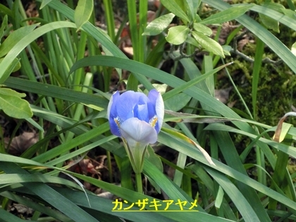 a0105023_13480631.jpg