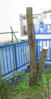 f0129726_18321446.jpg