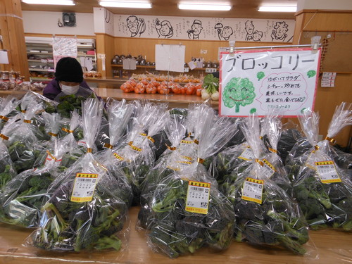 f0227432_11162324.jpg