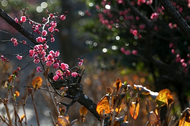 a0242438_20262860.jpg