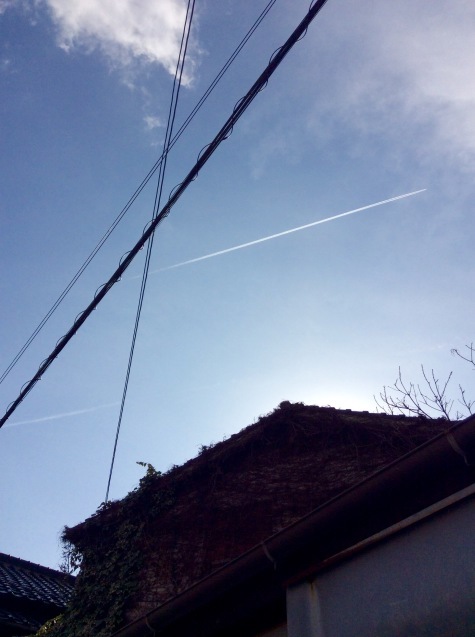 c0340351_15251387.jpeg