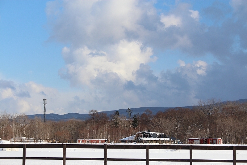 b0250154_20091351.jpg
