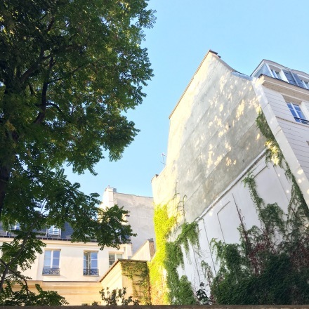 a0199262_17533207.jpg