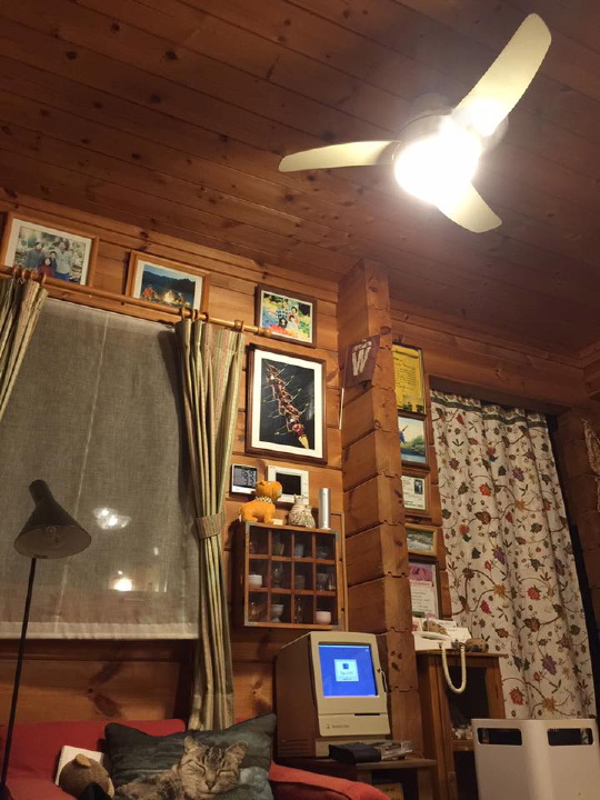 c0123363_1184228.jpg