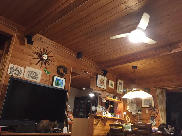 c0123363_1192799.jpg