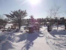 d0017084_10211827.jpg