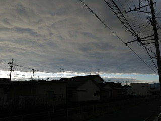 e0130185_11773.jpg