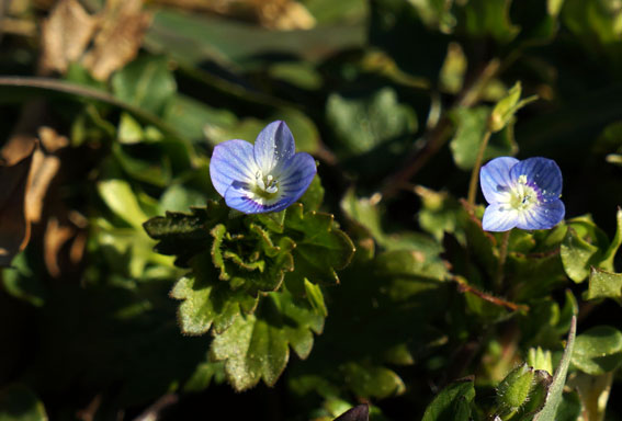 b0145296_9431460.jpg