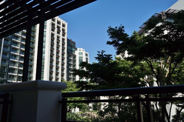 d0337598_01183574.jpg