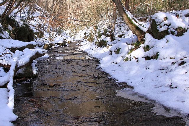 e0137200_2013979.jpg