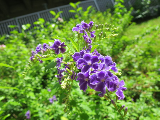 c0212604_23571262.jpg