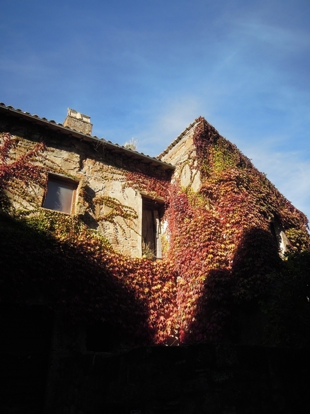 c0149408_22234504.jpg