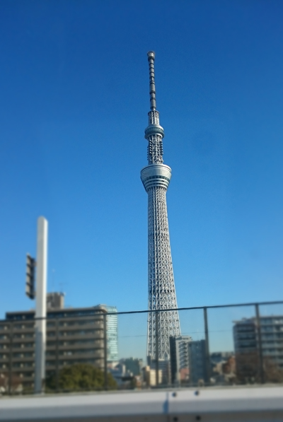 d0113613_1659494.jpg