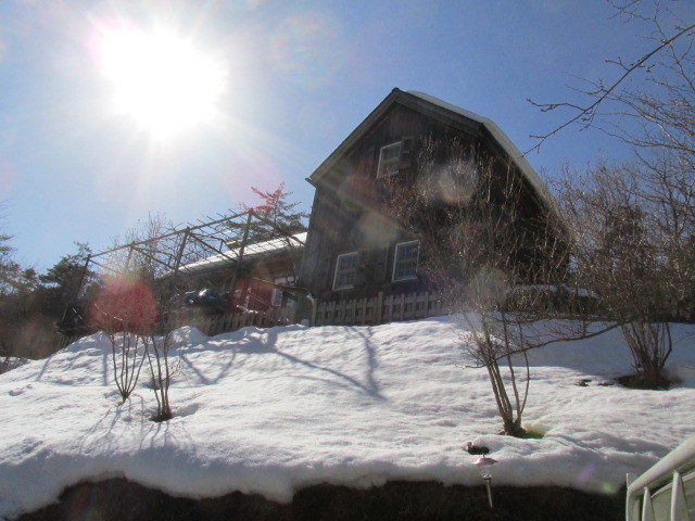 f0341616_16572111.jpg