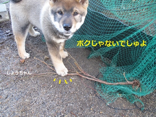 f0143123_09594531.jpg