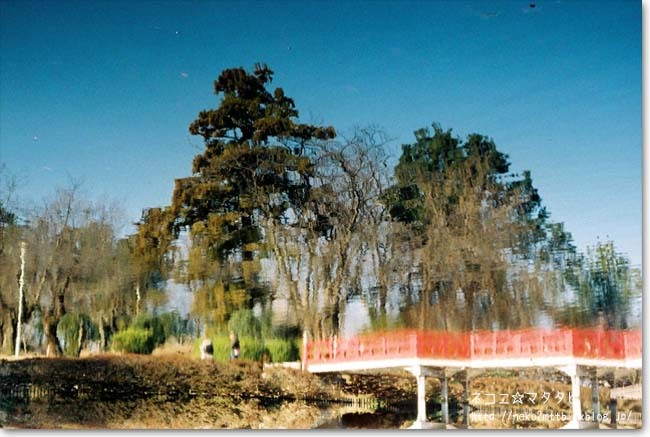 c0221529_14462250.jpg