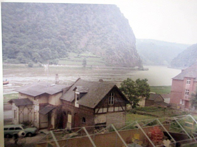 b0009849_20141425.jpg