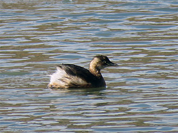 f0214649_16350626.jpg