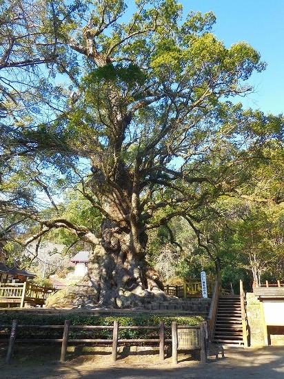 f0130557_17332694.jpg