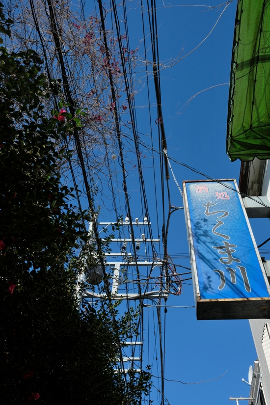 f0079061_1954613.jpg