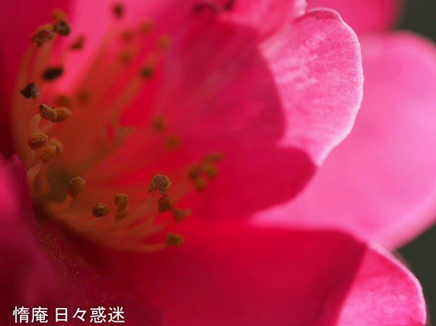 e0346064_21181166.gif