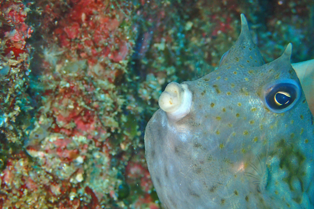 b0137083_1574483.jpg